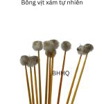5 cây bông ngoáy tai bông ráy tai , bông se tai thân gỗ đầu lông màu xám tự nhiên size nhỏ