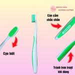 Set 2 bàn chải đánh răng mềm Suwade có ống nhựa đựng kèm, bót đánh răng vệ sinh răng sạch sẽ, tặng cạo lưỡi.
