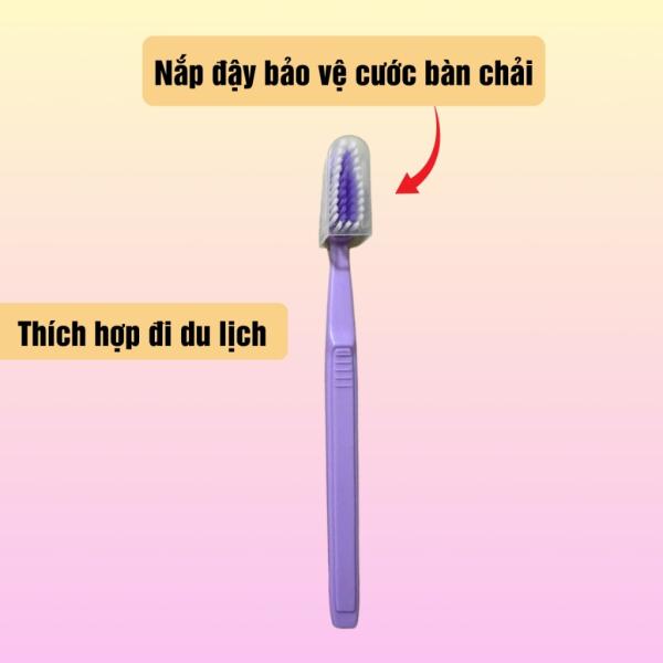 Combo 25 cây bàn chải đánh răng Happy có nắp đậy