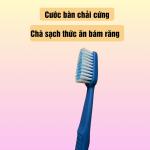 Combo 25 cây bàn chải đánh răng Happy có nắp đậy