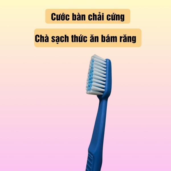 Combo 25 cây bàn chải đánh răng Happy có nắp đậy