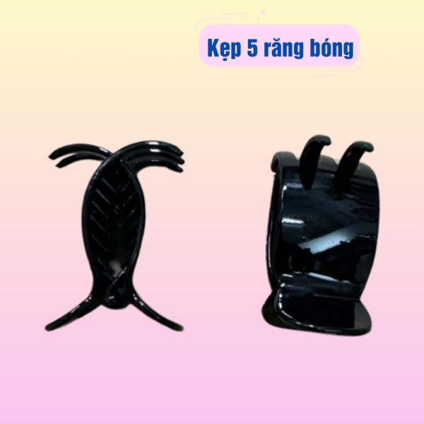 Set 2 cái kẹp tóc càng cua 5 RĂNG màu đen