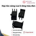 Set 2 cái kẹp tóc càng cua 5 RĂNG màu đen